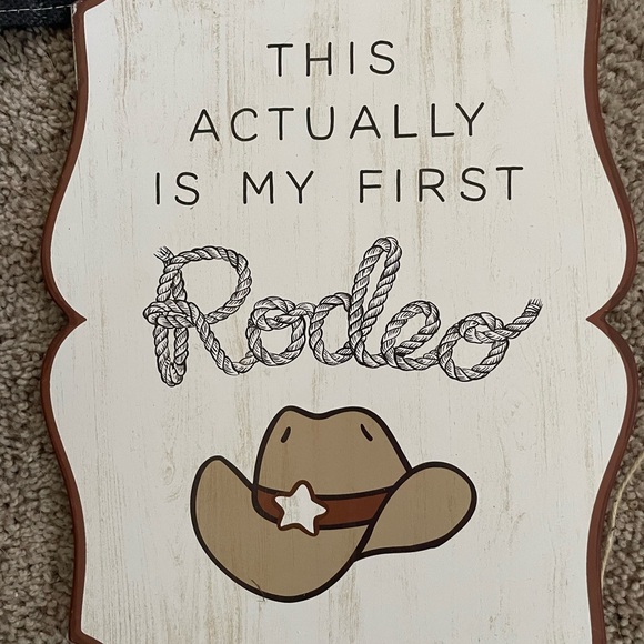 First Rodeo Lot - Picture 2 of 6